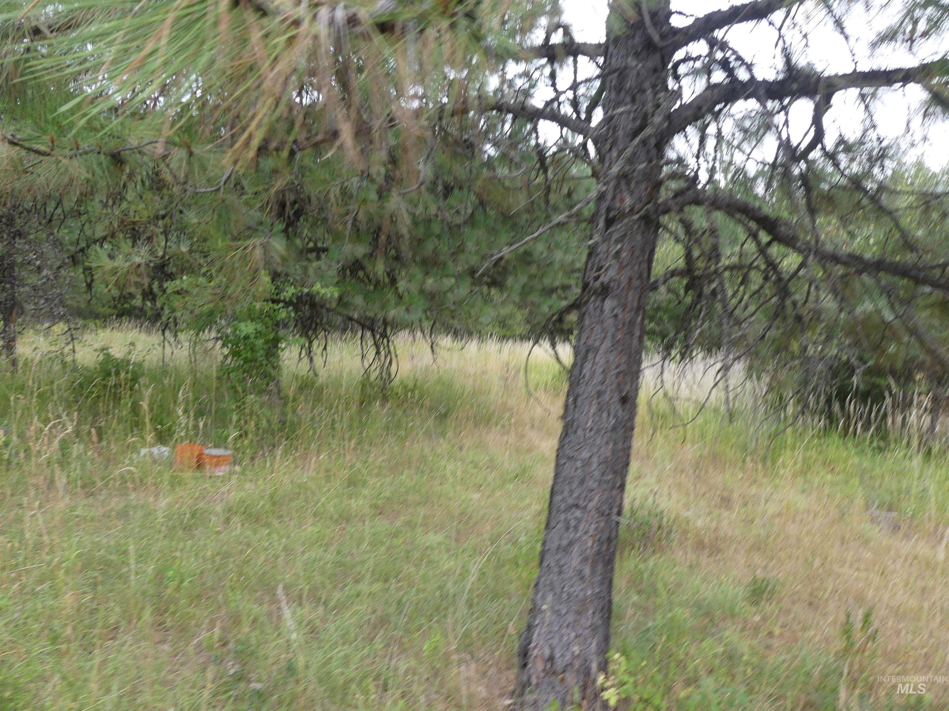 506 Devils Elbow Drive Lenore, ID 83541 - Photo 32 of 46