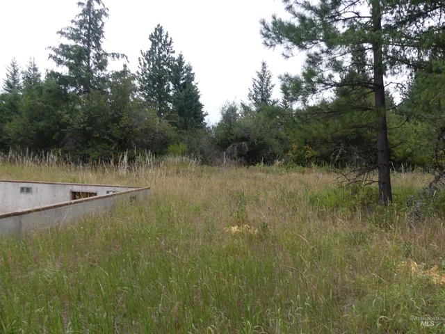 $350,000 | 506 Devils Elbow Drive, Lenore, ID 83541