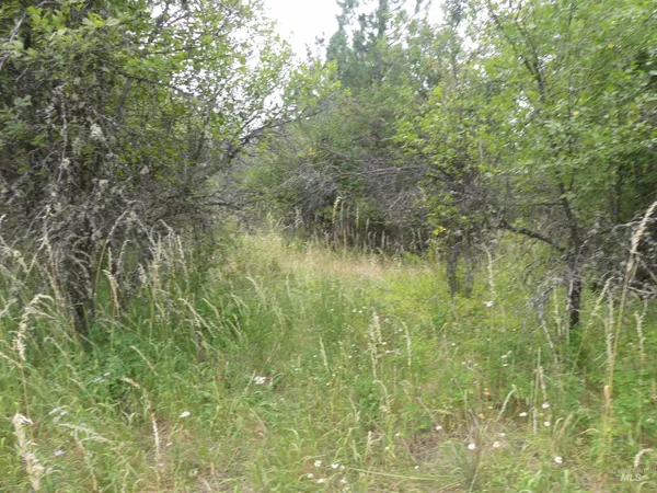 $350,000 | 506 Devils Elbow Drive, Lenore, ID 83541