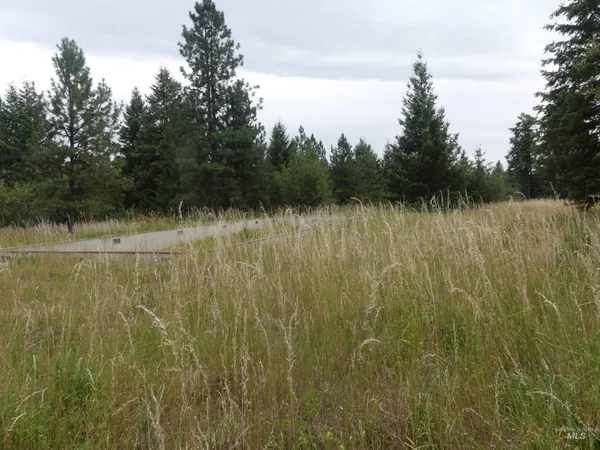 $350,000 | 506 Devils Elbow Drive, Lenore, ID 83541