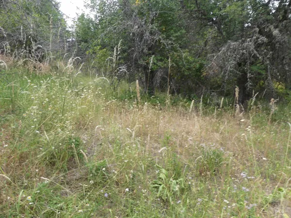 $350,000 | 506 Devils Elbow Drive, Lenore, ID 83541
