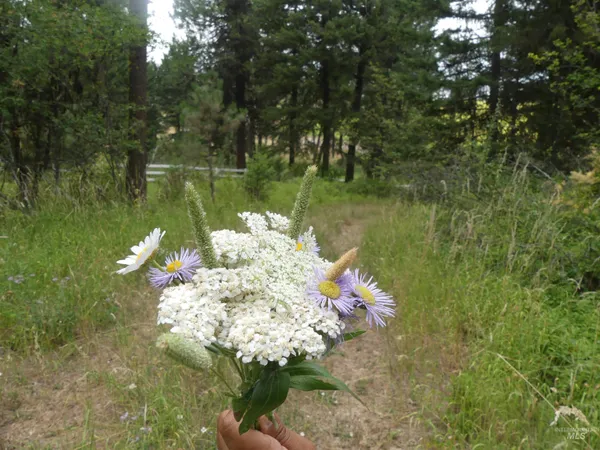 $350,000 | 506 Devils Elbow Drive, Lenore, ID 83541