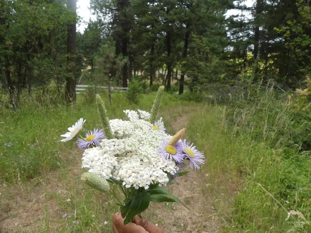 $350,000 | 506 Devils Elbow Drive, Lenore, ID 83541