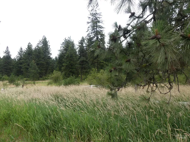 $350,000 | 506 Devils Elbow Drive, Lenore, ID 83541