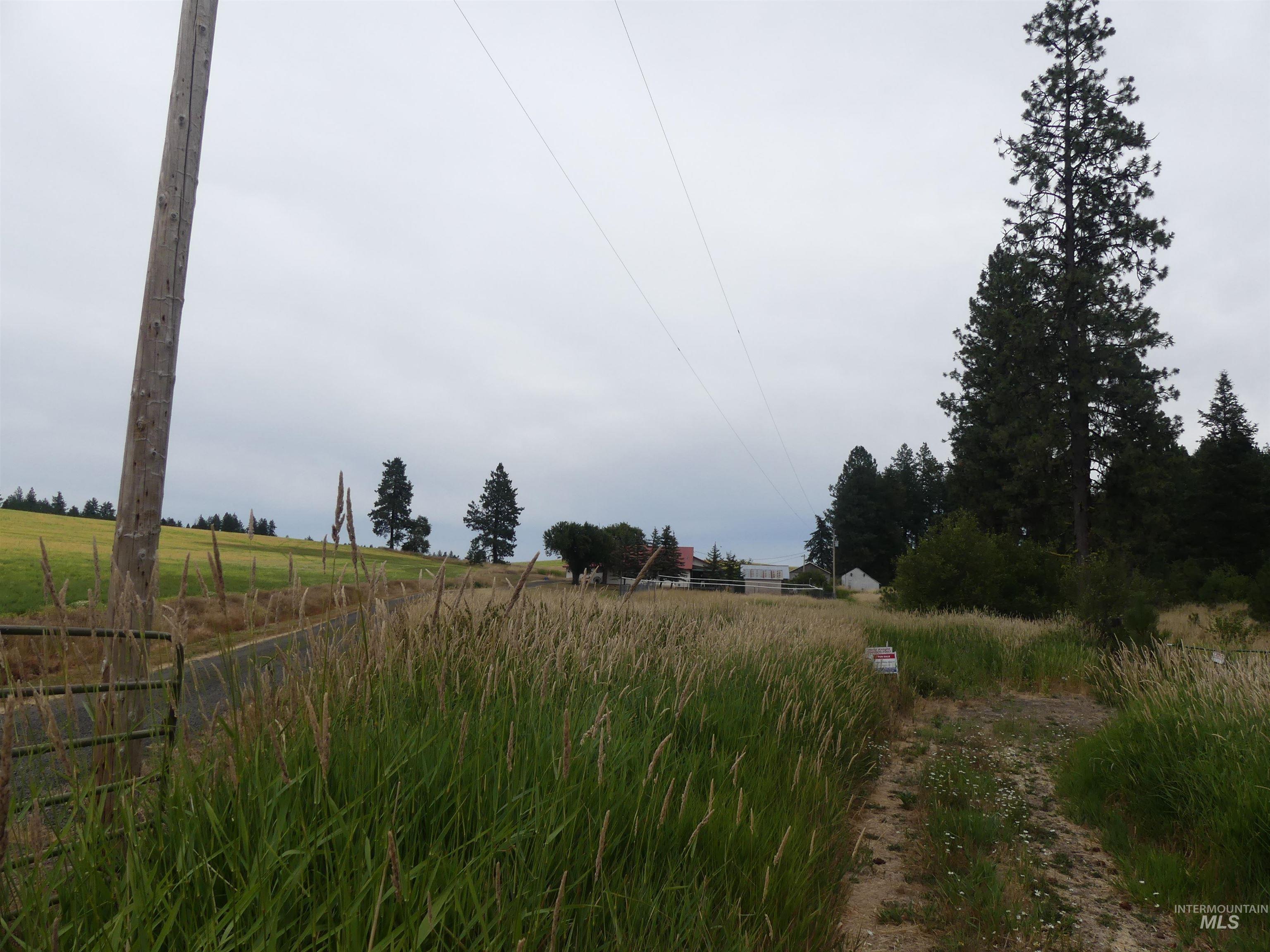 506 Devils Elbow Drive Lenore, ID 83541 - Photo 5 of 46