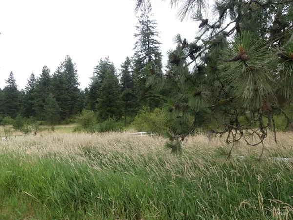$350,000 | 506 Devils Elbow Drive, Lenore, ID 83541
