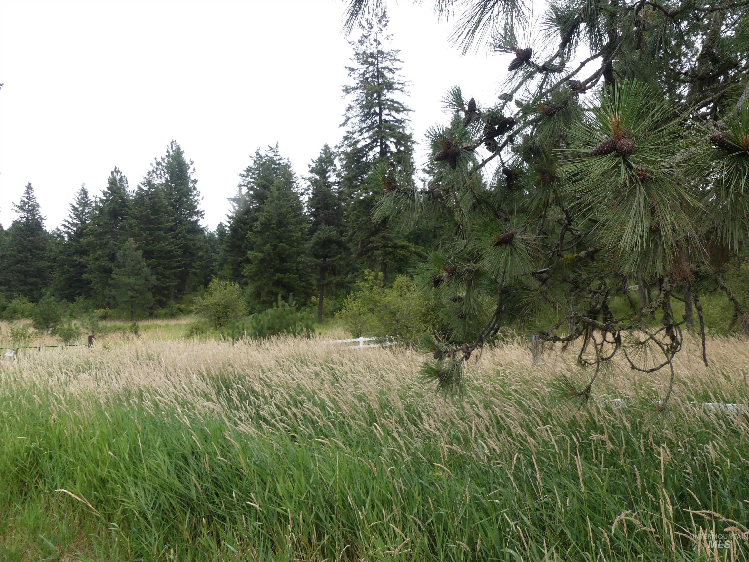 506 Devils Elbow Drive Lenore, ID 83541 - Photo 6 of 46