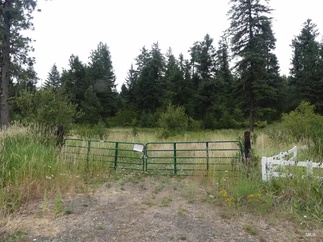 $350,000 | 506 Devils Elbow Drive, Lenore, ID 83541