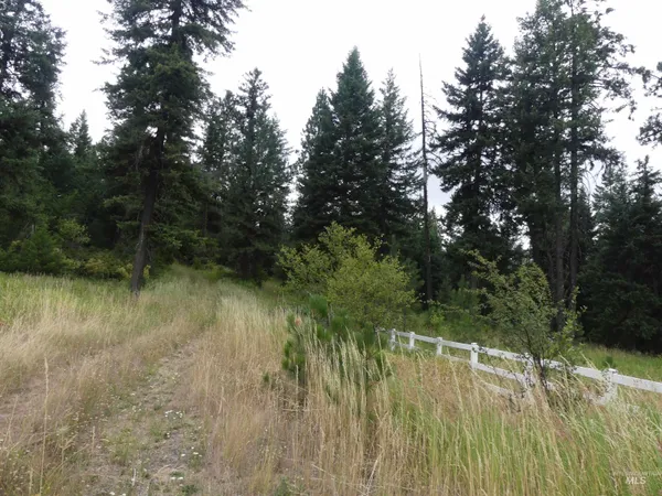 $350,000 | 506 Devils Elbow Drive, Lenore, ID 83541