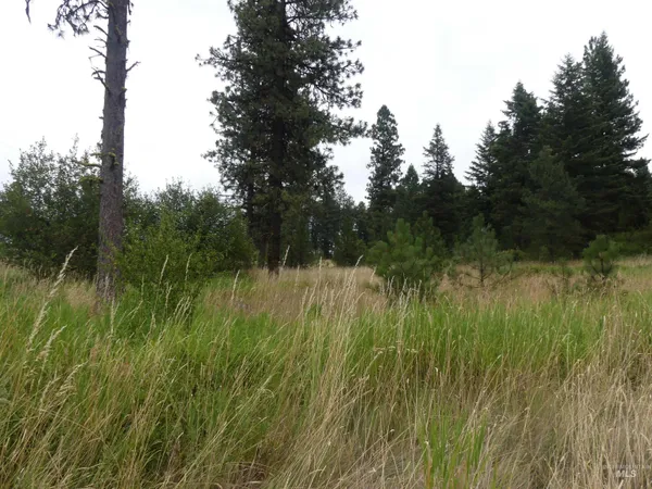 $350,000 | 506 Devils Elbow Drive, Lenore, ID 83541