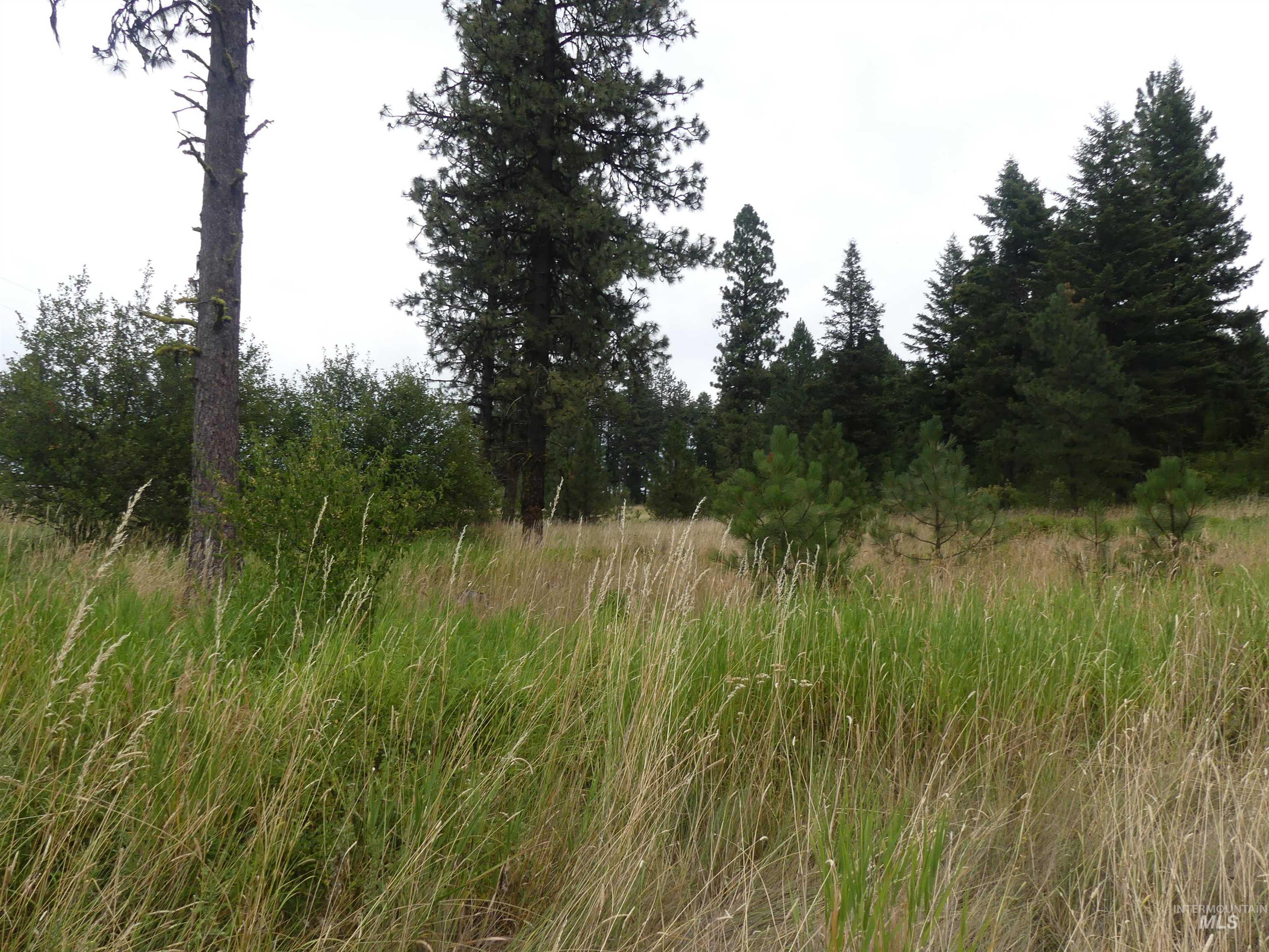 506 Devils Elbow Drive Lenore, ID 83541 - Photo 8 of 46