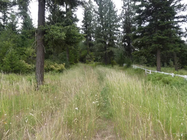 $350,000 | 506 Devils Elbow Drive, Lenore, ID 83541