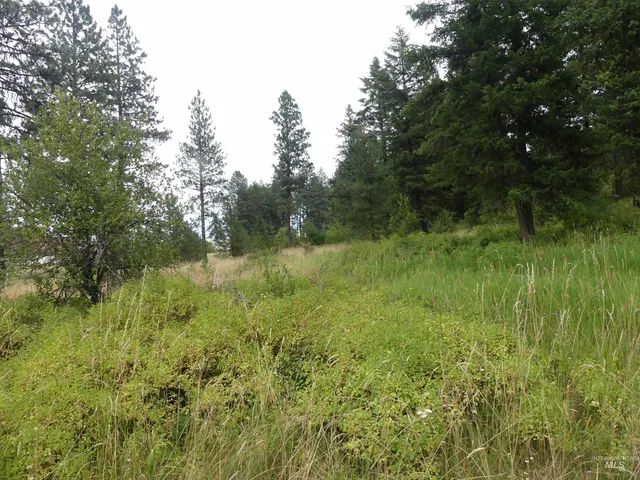 $350,000 | 506 Devils Elbow Drive, Lenore, ID 83541