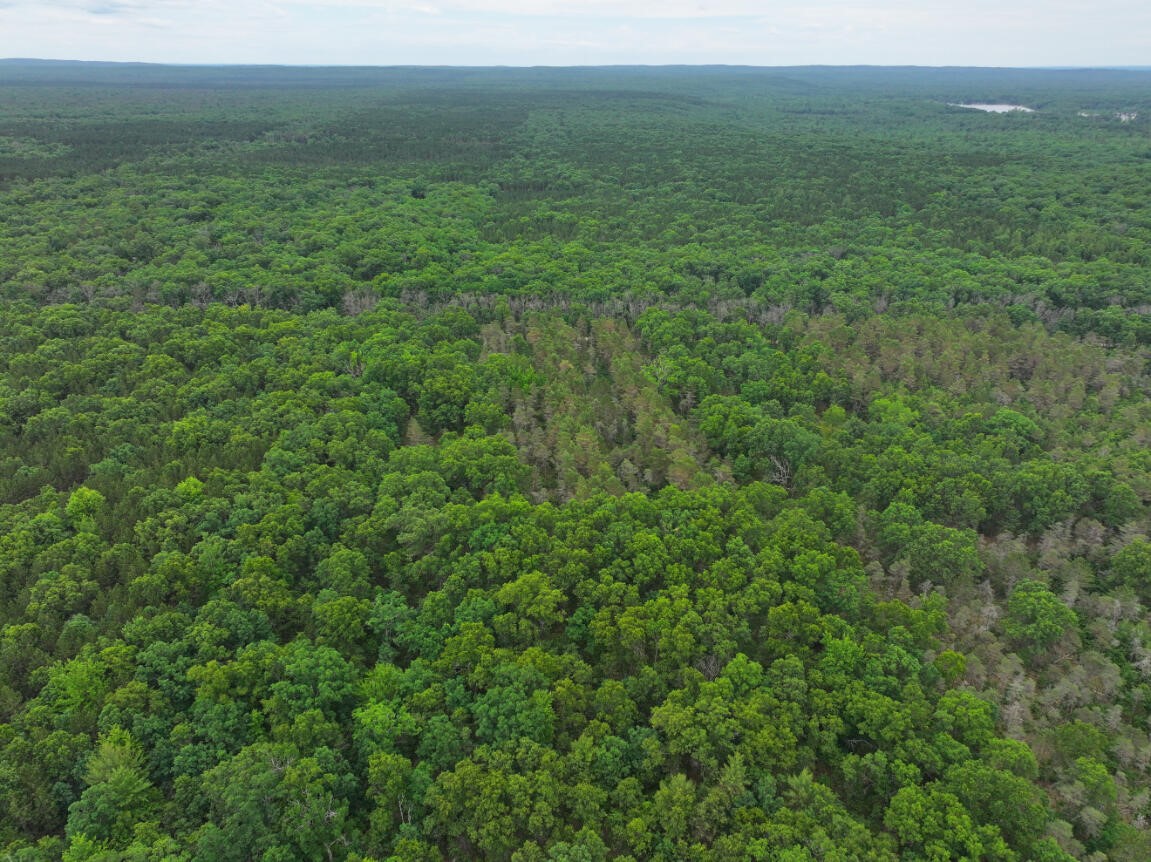 7376 West 7 Mile Road Mesick, MI 49668 - Photo 6 of 26 Gallery Image 6