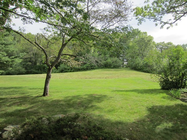 94 Conant Road Lincoln, MA 01773 - Photo 10 of 14 a view of a field with a tree