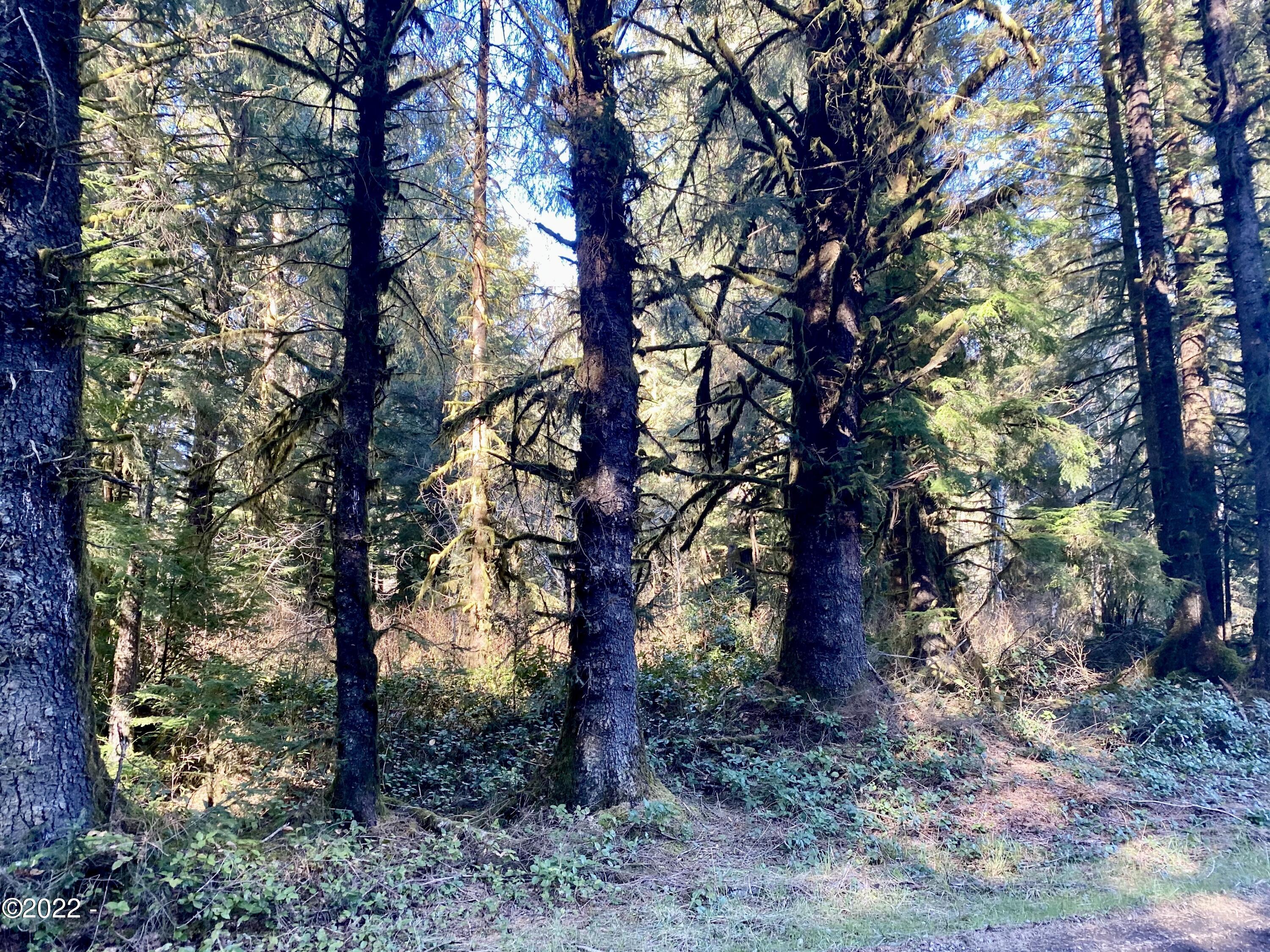 Tl700-900 Huhtala Road Siletz, OR 97380 - Photo 4 of 13 AC Land
