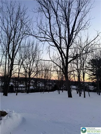 a view of outdoor space yard and tree