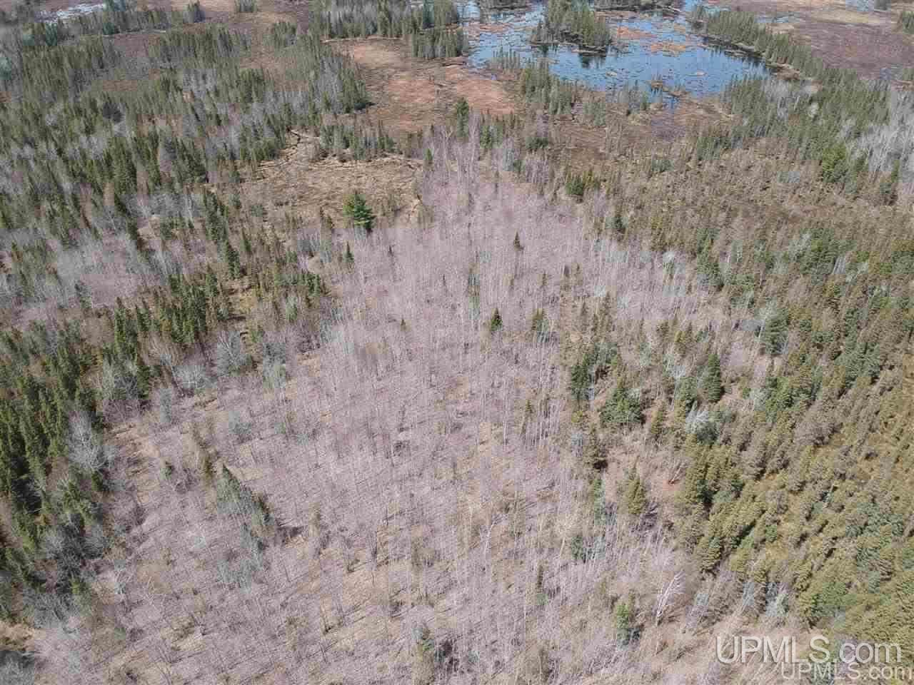 Tbd Mud Lake Road Lake Linden, MI 49945 - Photo 9 of 18