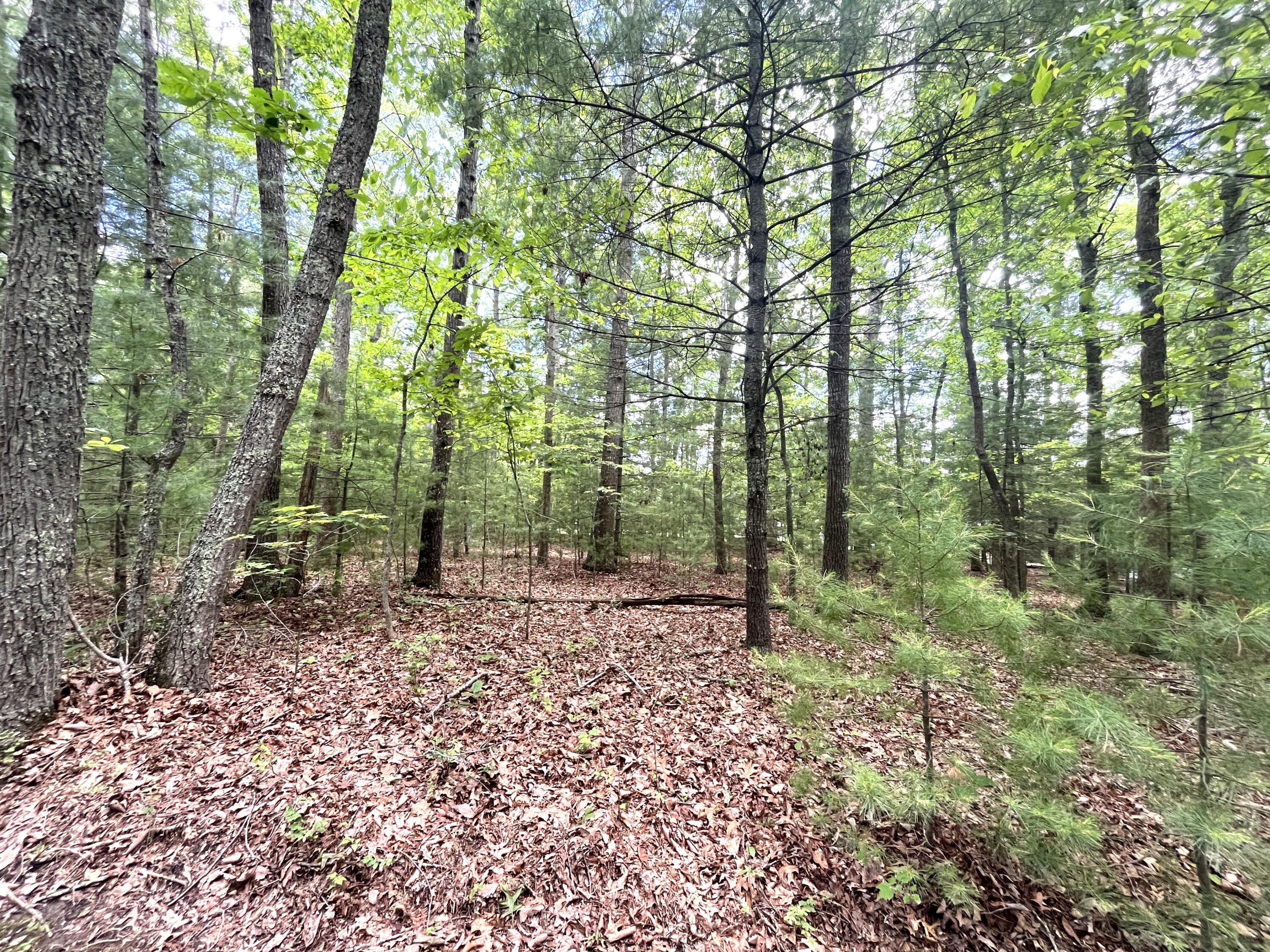 2092 Coleman Cliff Road Frankford, WV 24938 - Photo 47 of 52 Gallery Image 47