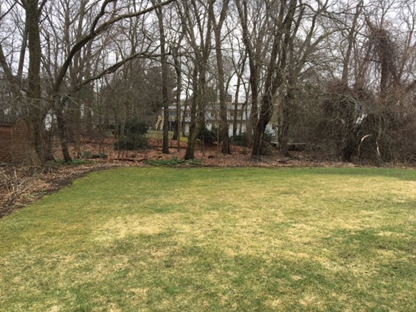 74 Longmeadow Road Belmont, MA 02478 - Photo 4 of 6 Gallery Image 4