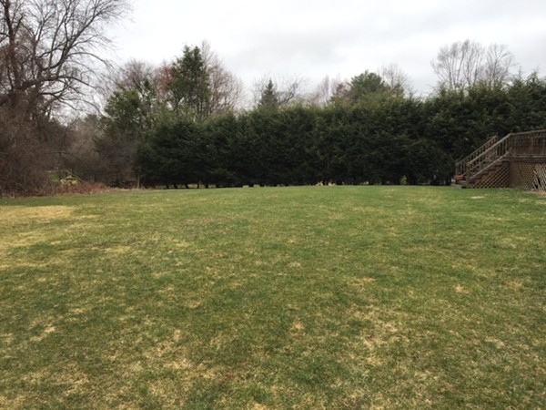 74 Longmeadow Road Belmont, MA 02478 - Photo 5 of 6 Gallery Image 5
