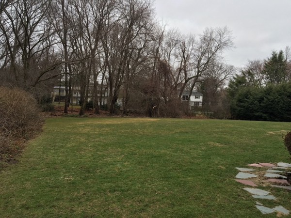 74 Longmeadow Road Belmont, MA 02478 - Photo 6 of 6 Gallery Image 6