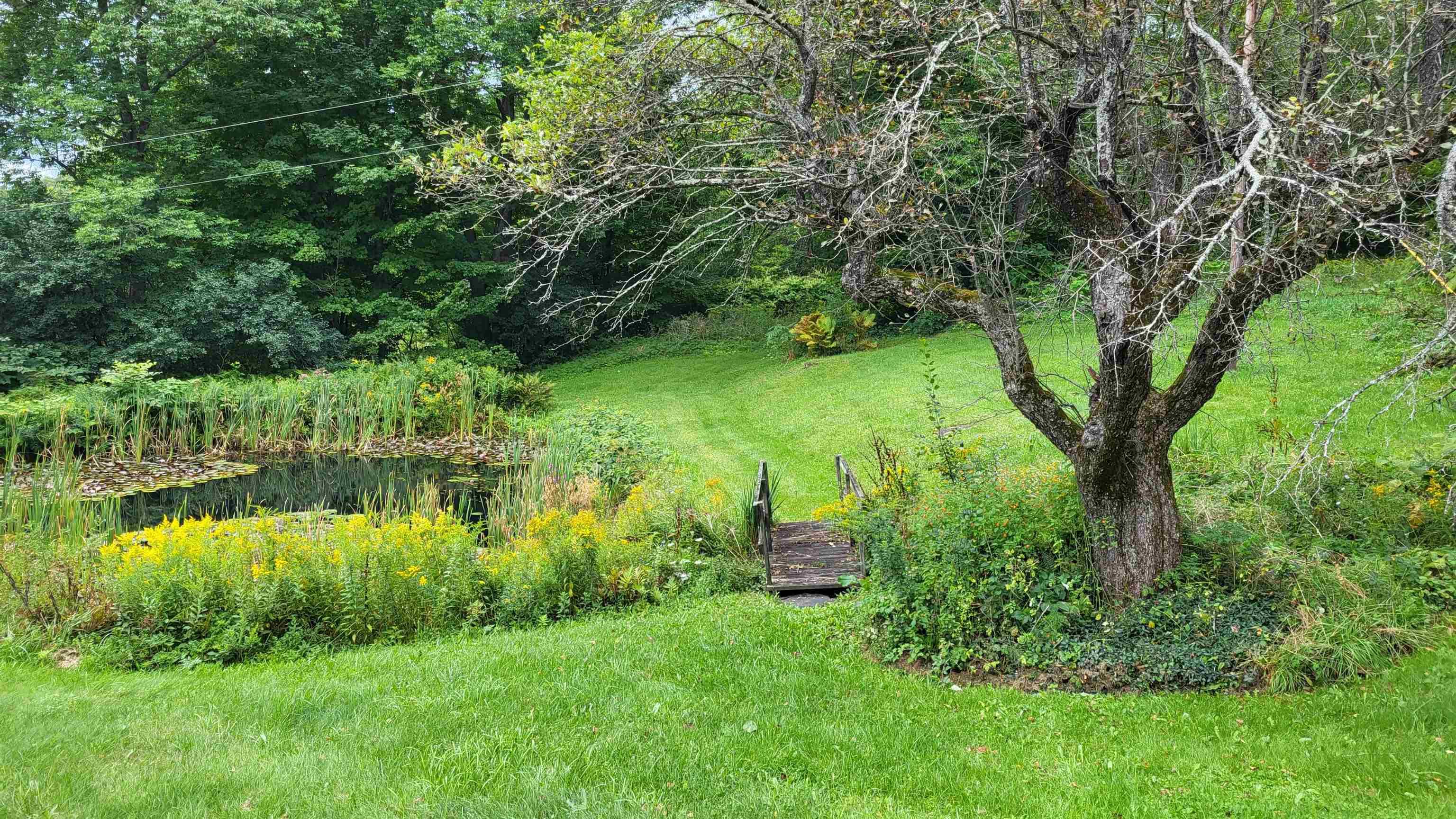 3465 Bear Hill Road Randolph, VT 05060 - Photo 27 of 31 Gallery Image 27