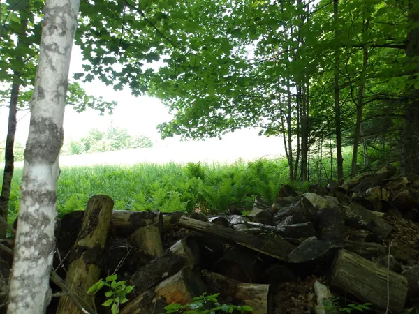 $99,000 | 4-5 Forest Lane, Lyndonville, VT 05851
