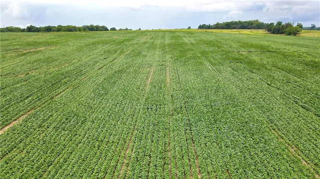 $512,000 | Southeast 60th Road, Golden City, MO 64748