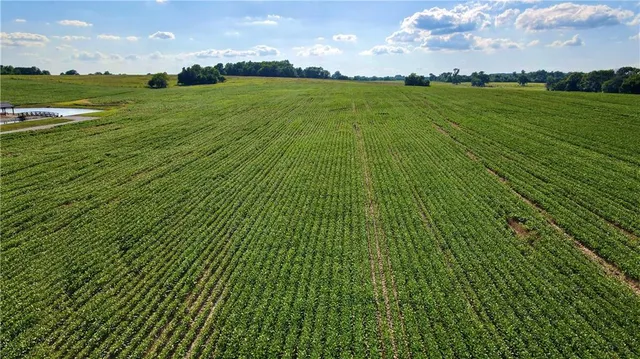 $512,000 | Southeast 60th Road, Golden City, MO 64748