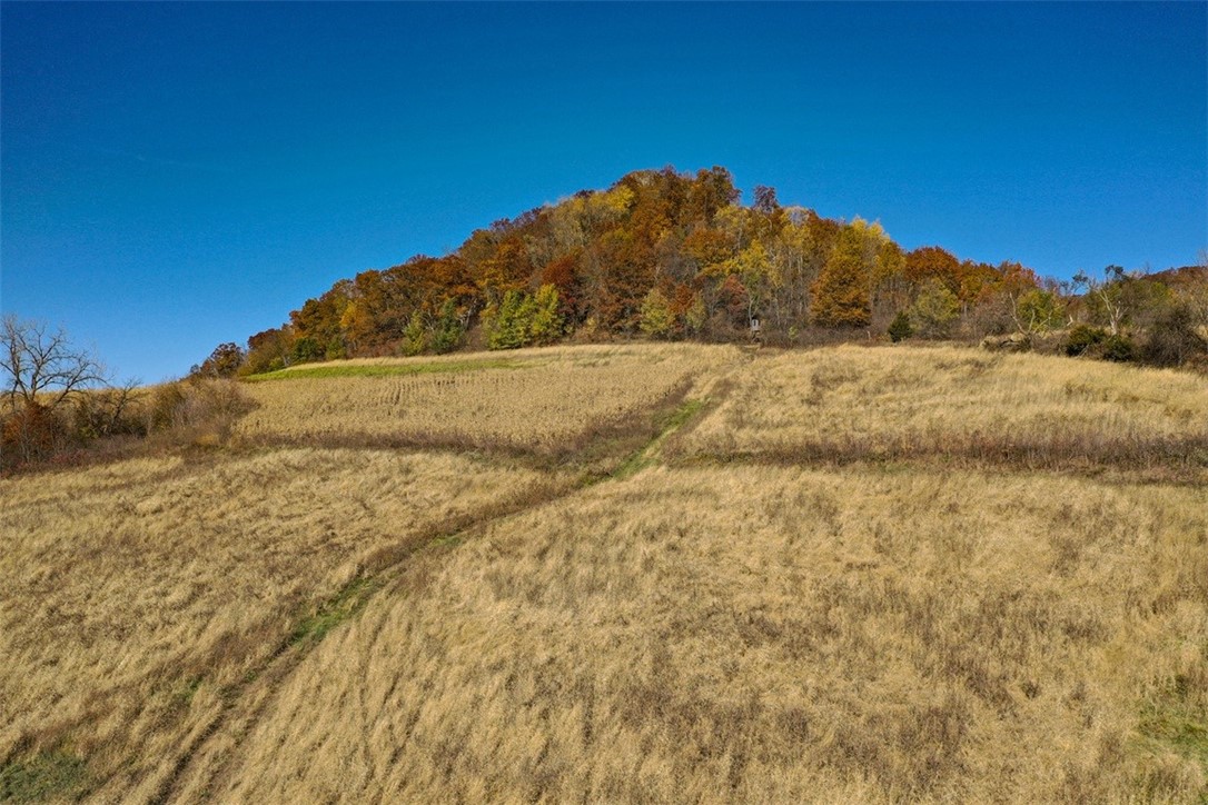 0 County Kk Alma, WI 54610 - Photo 8 of 58