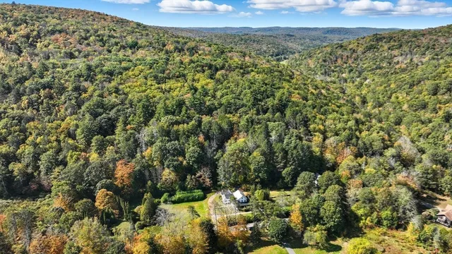 a view of a forest with a yard