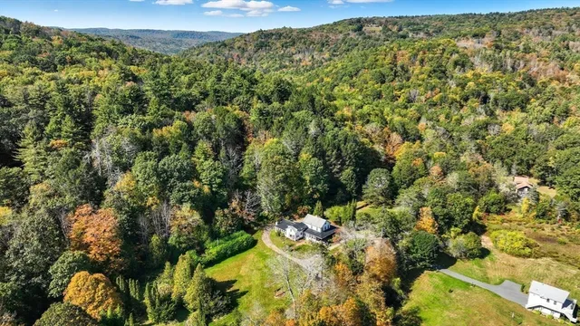 a view of a yard with a tree