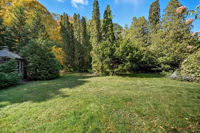 a view of a field with trees in the background