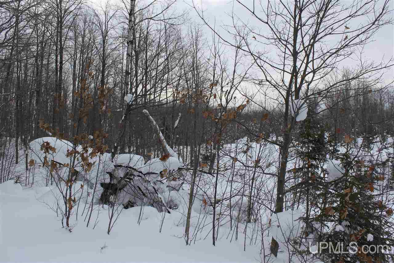 Tbd Emily Lake Road Toivola, MI 49965 - Photo 23 of 36 Gallery Image 23