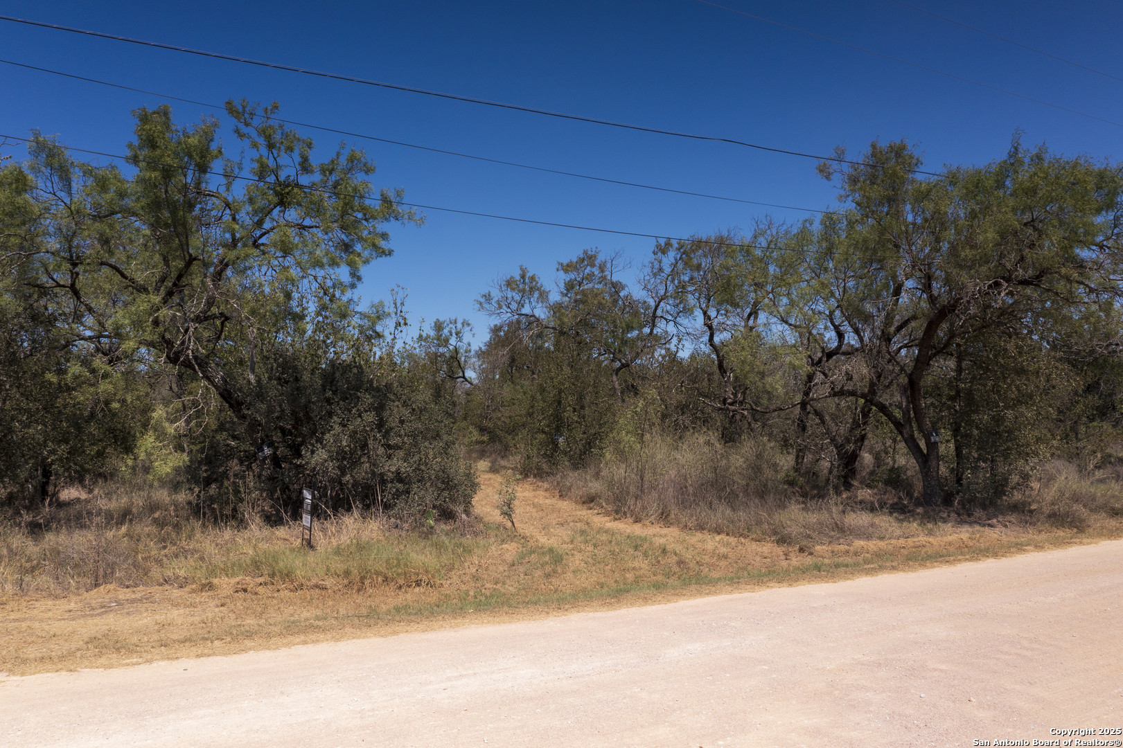 a view of a yard with a tree