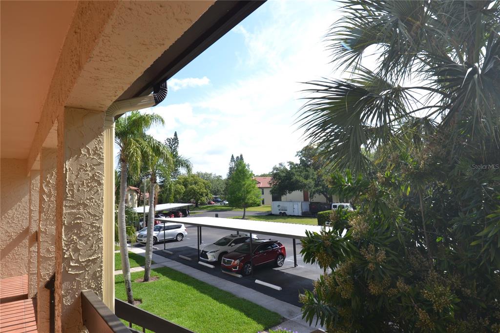 1801 East Lake Road South, Unit 9E Palm Harbor, FL 34685 - Photo 42 of 43