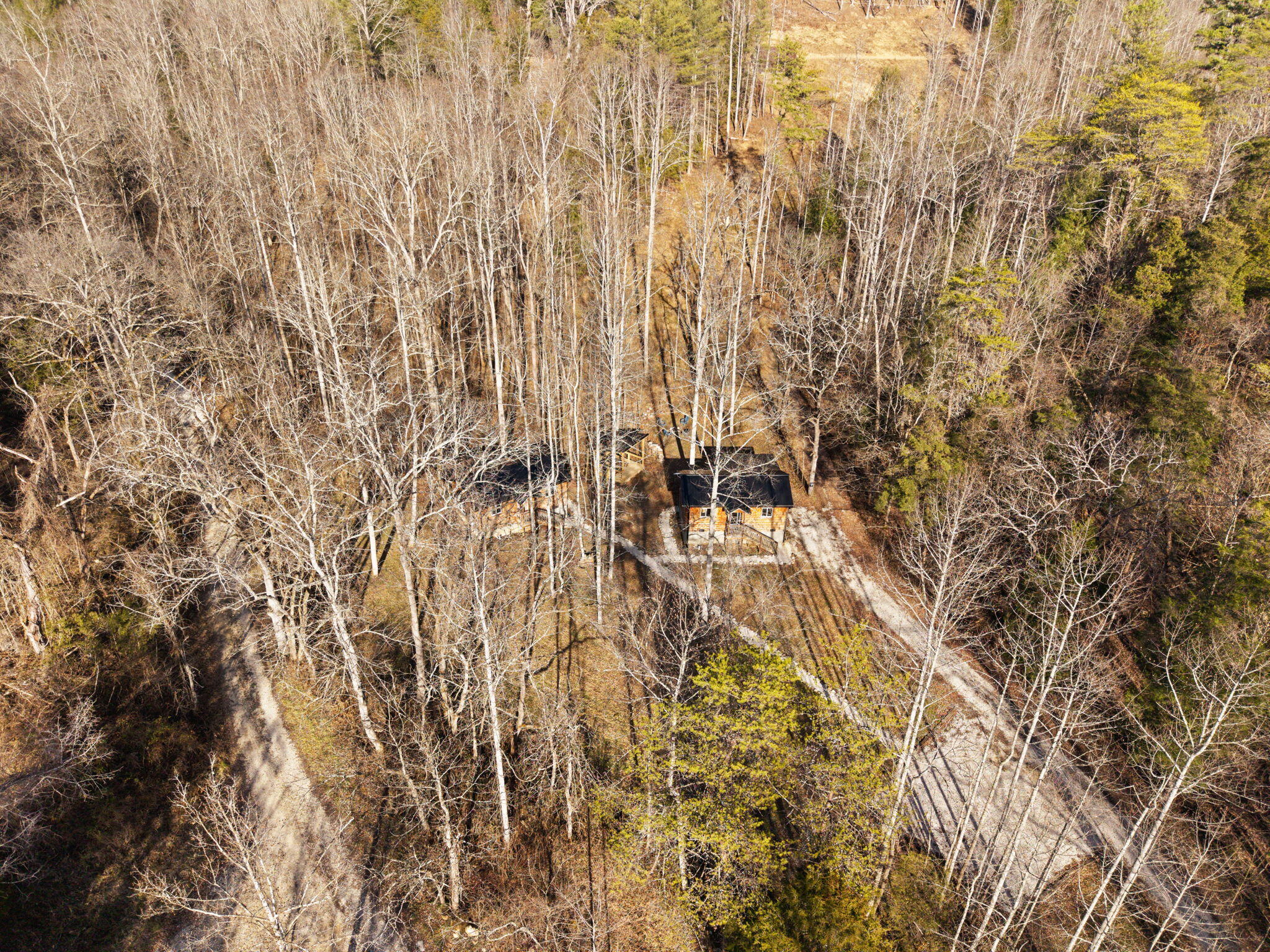 22 Still Hand Zoe, KY 41397 - Photo 65 of 76 83-web-or-mls-DJI_20260107142351_0078_D