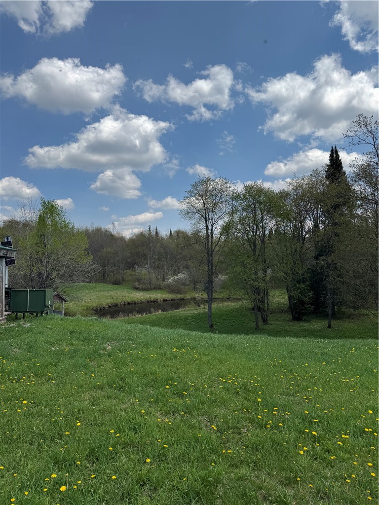 2176 Pitcher Road Lowville, NY 13367 - Photo 3 of 23