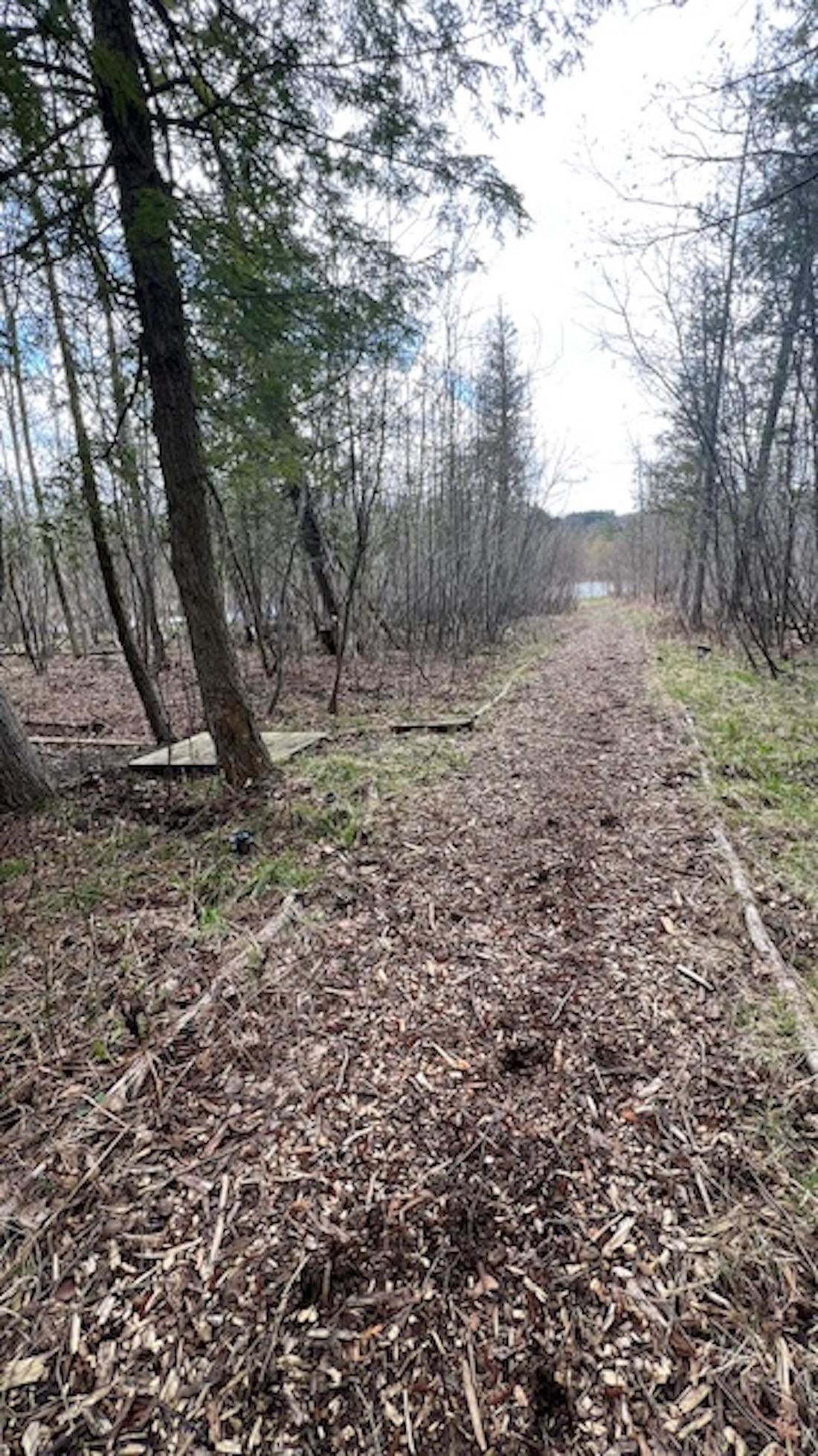 2589 Rushton Road Central Lake, MI 49622 - Photo 76 of 77 1933190-4d44ea3b-82c0-4488-bc69-aeebb065f2c5.JPG