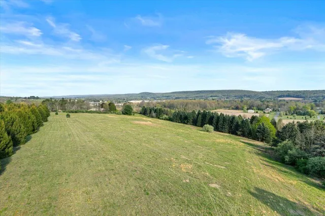 a view of a field with an ocean