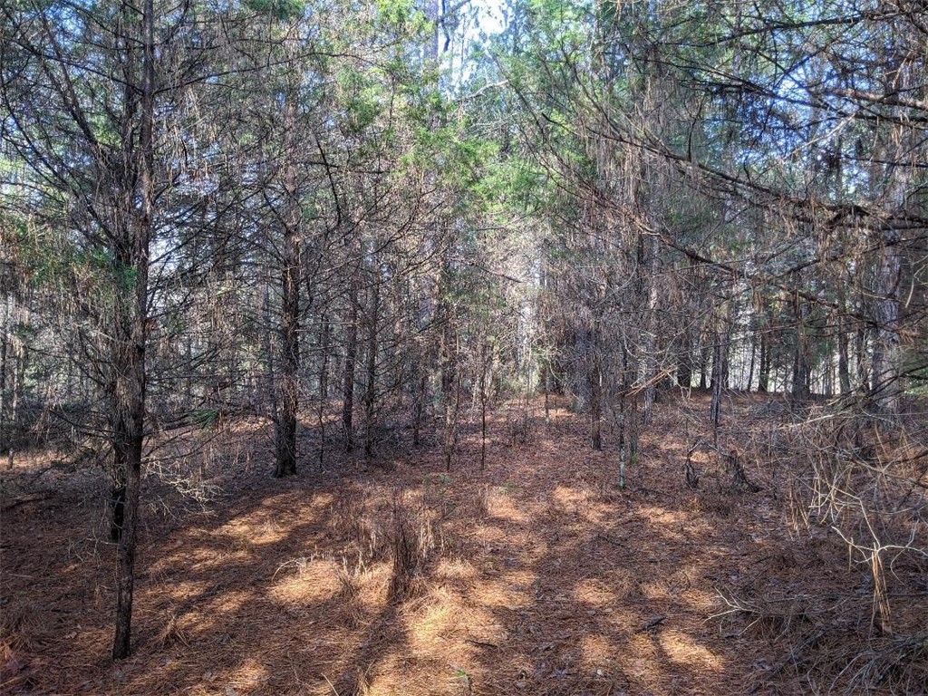 Tbd Tbd Twin Oaks/keowee Road Honea Path, SC 29654 - Photo 2 of 11 Gallery Image 2