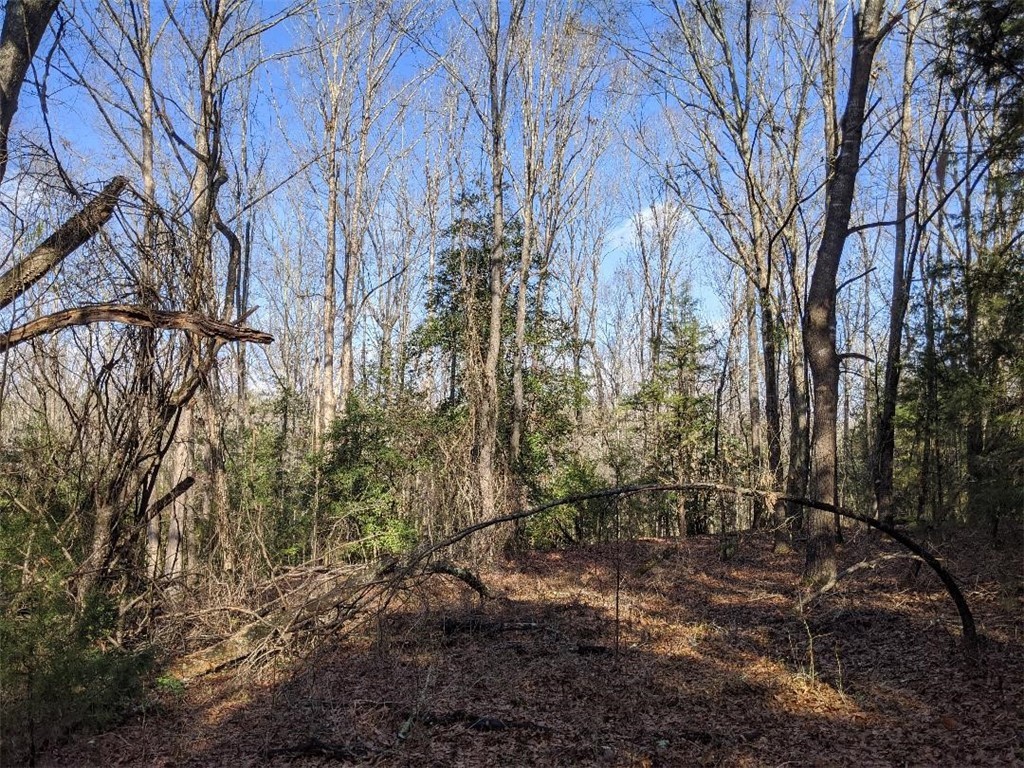 Tbd Tbd Twin Oaks/keowee Road Honea Path, SC 29654 - Photo 3 of 11 Gallery Image 3