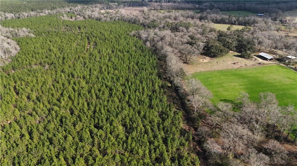 1773 Ridge Road Perkinston, MS 39573 - Photo 32 of 46