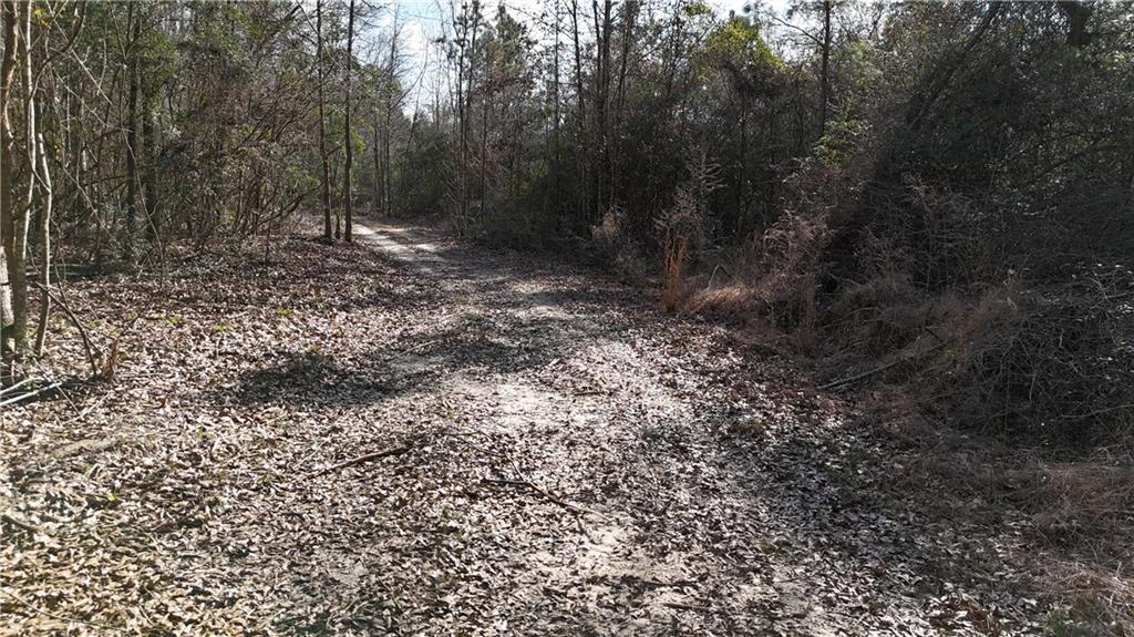 1773 Ridge Road Perkinston, MS 39573 - Photo 39 of 46