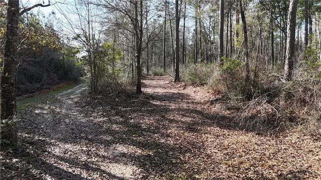 $1,395,000 | 1773 Ridge Road, Perkinston, MS 39573