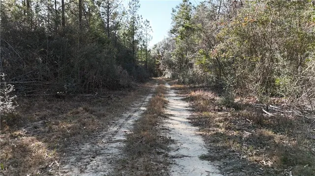 $1,395,000 | 1773 Ridge Road, Perkinston, MS 39573