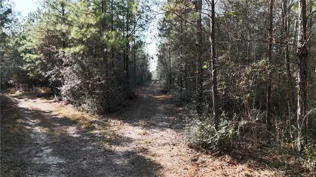 $1,395,000 | 1773 Ridge Road, Perkinston, MS 39573