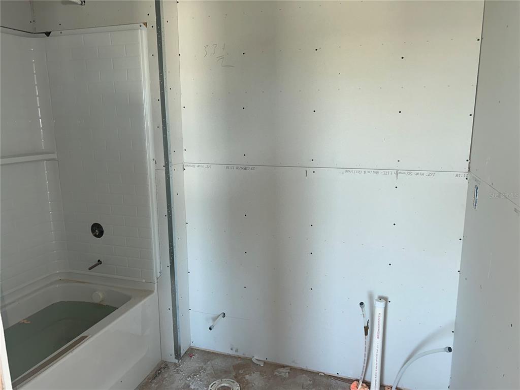 10123 Hidden Hammock Loop Parrish, FL 34221 - Photo 13 of 32 a bathroom with a bathtub