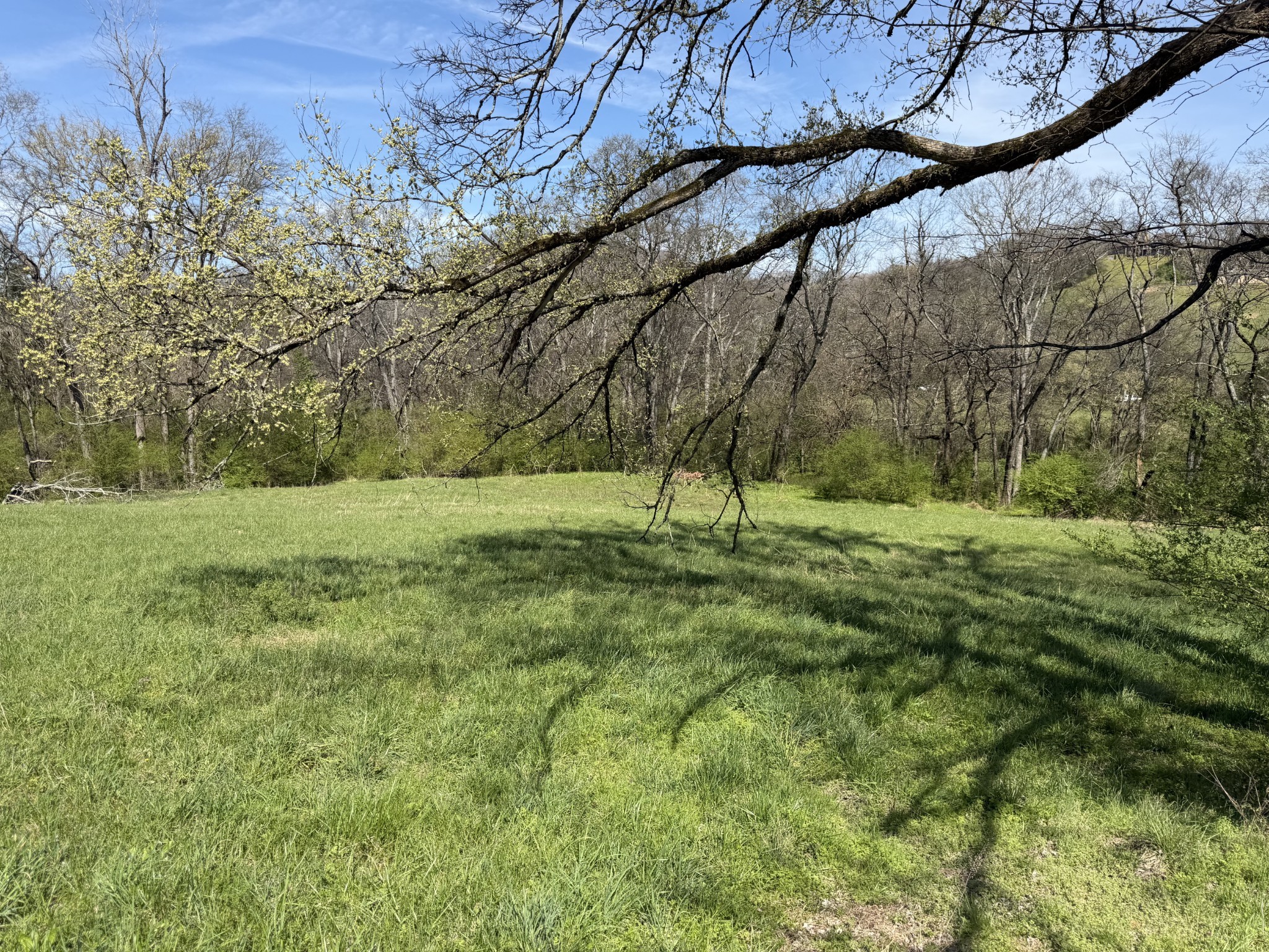 23 Fly Road Santa Fe, TN 38482 - Photo 8 of 22 a view of a field with a tree